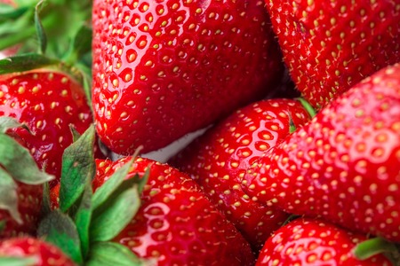 Red Strawberry, red close up strawberries with selective focus on a strawberry with many strawberries in the background for food or fruit close up background or strawberry texture.の写真素材