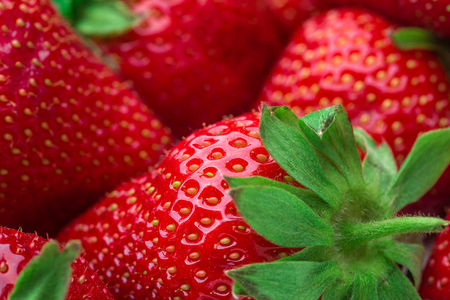 Red Strawberry, red close up strawberries with selective focus on a strawberry with many strawberries in the background for food or fruit close up background or strawberry texture.の写真素材