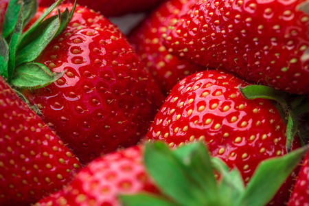 Red Strawberry, red close up strawberries with selective focus on a strawberry with many strawberries in the background for food or fruit close up background or strawberry texture.の写真素材