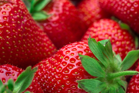 Red Strawberry, red close up strawberries with selective focus on a strawberry with many strawberries in the background for food or fruit close up background or strawberry texture.の写真素材