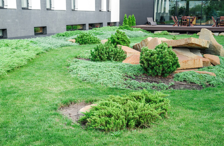 backyard with landscaping. green grass and large close-upの写真素材