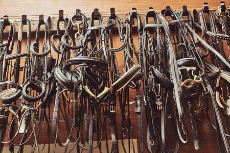 bridles and harnesses for horses hanging on the wall in the stableの写真素材