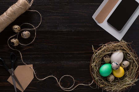 Colorful easter egg in nest on dark wood board.の写真素材