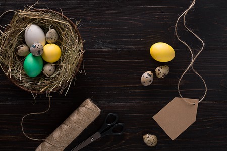 Colorful easter egg in nest on dark wood board.の写真素材