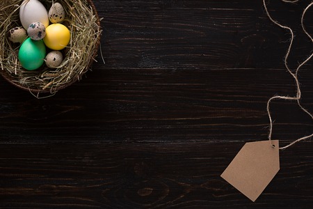 Colorful easter egg in nest on dark wood board.