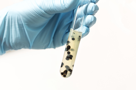 chemical test tube in hand on white isolated background. Analyzes. Laboratoryの写真素材