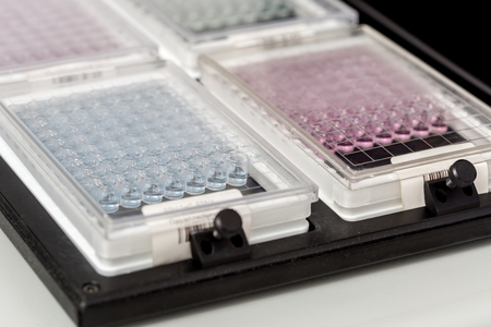 blue bipoules for researchの写真素材