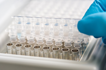 A set of glass tubes for samples. Laboratory chemical equipment. Analyzes DNAの写真素材