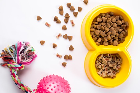 dry pet food in bowl and toys for dogs on white background top view. Still life. Copy spaceの写真素材