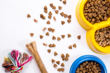 dry pet food in bowl and toys for dogs on white background top viewの写真素材