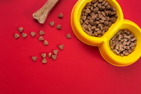 dry pet food in bowl on red background top viewの写真素材
