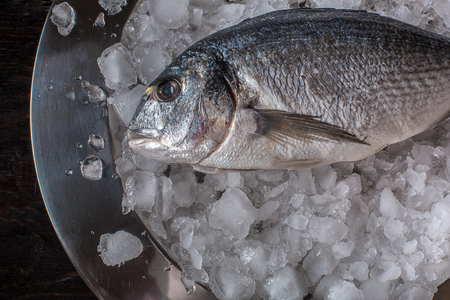 Seafood cooking preparation. Top view of dorado on ice.の写真素材