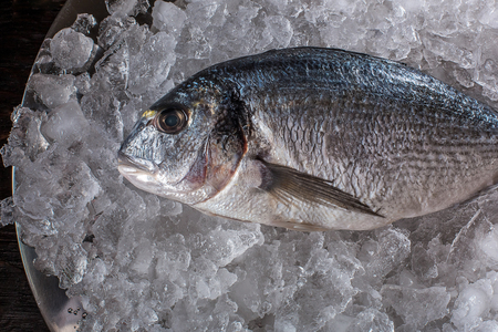 Seafood cooking preparation. Top view of dorado on ice. Against a dark backgroundの写真素材