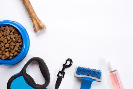 Collar, blue bowl with feed, leash, delicacy, combs and brushes for dogs. Isolated on white backgroundの写真素材