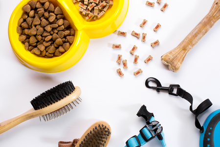 Collar, bowl with feed, leash, delicacy, combs and brushes for dogs. Isolated on white backgroundの写真素材