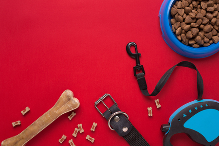 Collar, blue bowl with feed, leash and delicacy for dogs. Isolated on red backgroundの写真素材