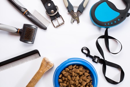 Collar, bowl with feed, leash, delicacy, combs and brushes for dogs. Isolated on white backgroundの写真素材