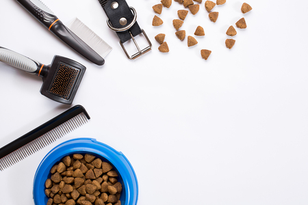 Collar, bowl with feed, leash, delicacy, combs and brushes for dogs. Isolated on white backgroundの写真素材