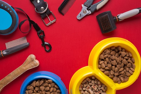 Pet accessories on red background. Top viewの写真素材