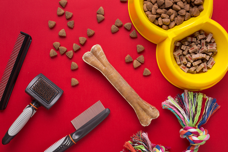 Pet accessories on red background. Top viewの写真素材