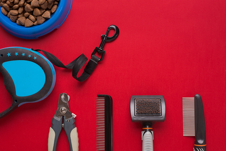 Pet accessories on red background. Top viewの写真素材