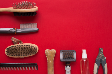 Pet accessories on red background. Top viewの写真素材