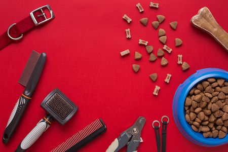 Pet accessories on red background. Top viewの写真素材