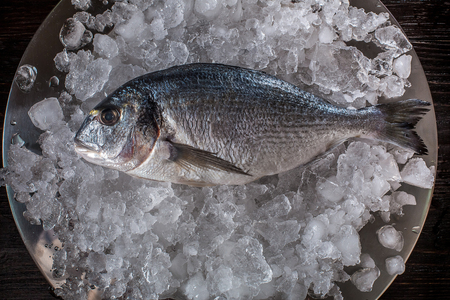 Seafood cooking preparation. Top view of dorado on ice.の写真素材