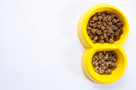 dry pet food in bowl on white background top viewの写真素材