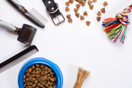 Collar, bowl with feed, leash, delicacy, combs and brushes for dogs. Isolated on white backgroundの写真素材