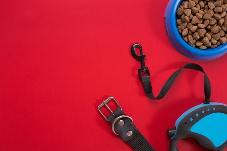 Collar, blue bowl with feed, leash and delicacy for dogs. Isolated on red backgroundの写真素材