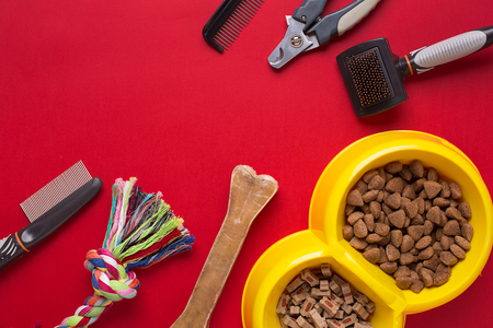 Pet accessories on red background. Top viewの写真素材