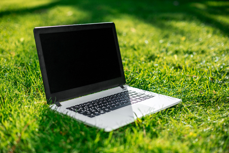 Laptop with blank screen on green lawnの写真素材