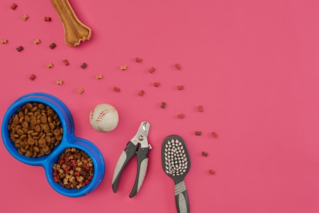 Accessories for the grooming of the dog. Combs and brushes for dogs. Top viewの写真素材