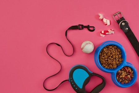 Pet accessories, food, toy. Top viewの写真素材