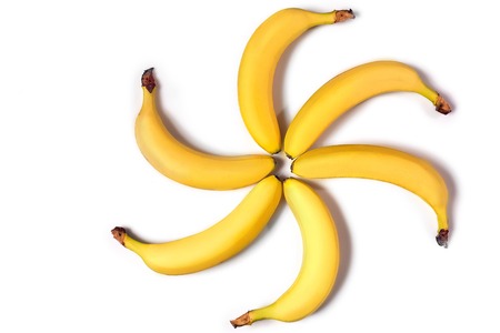 Ripe yellow bananas on a white background. Still life. Copy space. Isolated. Funny pictureの写真素材