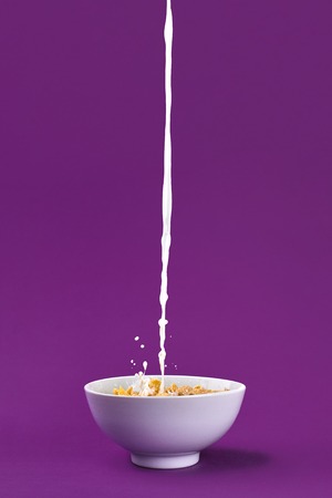 Falling granola with milk splash in bowl. Healthy breakfast ingredients. Flying food on purple...