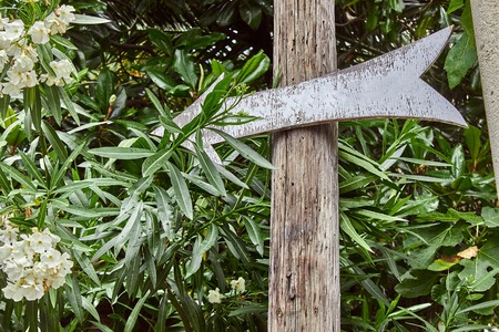 Wooden direction pointer in the parkの写真素材