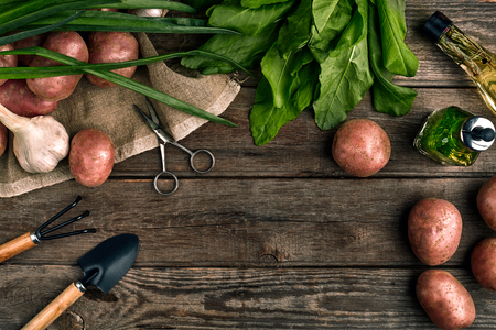 Fresh potatoes, oil, garlic and spicy herbs on a kitchen wooden background. Fresh vegetables from your own garden.の写真素材
