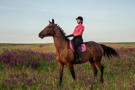 Horsewoman jockey in uniform riding horse outdoorsの写真素材