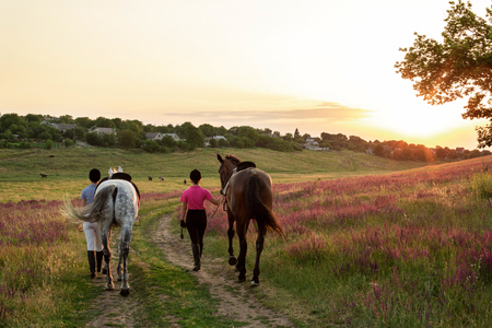 Two woman and two horses outdoor in summer happy sunset together natureの写真素材