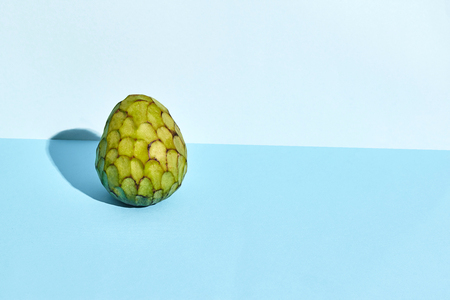 Sugar-apple, fruit of Annona squamosa cherimoya on blue