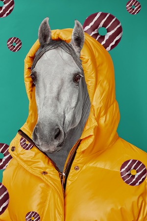 Contemporary art collage. Concept woman with horse head.の写真素材