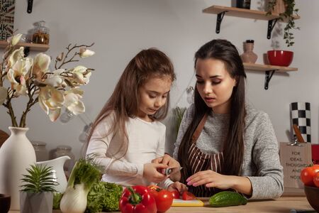 Mother and her daughter are making a vegetable salad and having fun at the kitchen.の写真素材