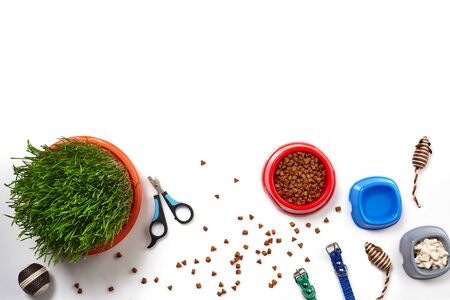 Flat lay composition with accessories for a cat isolated on white background. Pet care.の写真素材