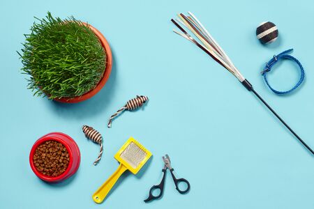 Flat lay composition with accessories for a cat on a blue background. Pet care.の写真素材