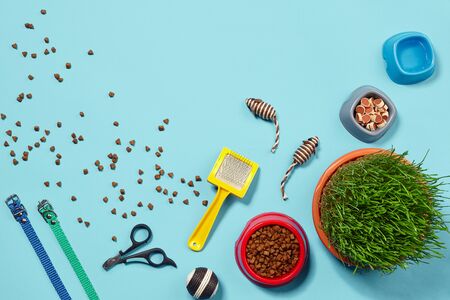 Flat lay composition with accessories for a cat on a blue background. Pet care.の写真素材