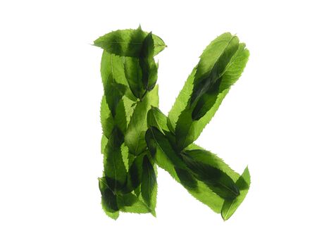 English alphabet made of a mint leaves isolated on white background.の写真素材