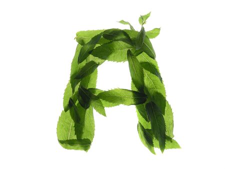 English alphabet made of a mint leaves isolated on white background.の写真素材