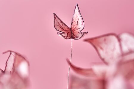 Delicate pink cake decoration in the form of butterflies.の写真素材